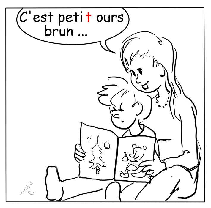Les liaisons avec ours 2/3
